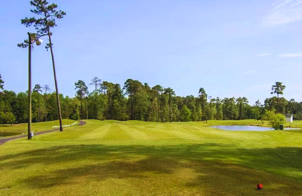 Guest Reward: https://gardencityrealty.icnd-cdn.com/images/guestrewards/TUPELO BAY 01.png